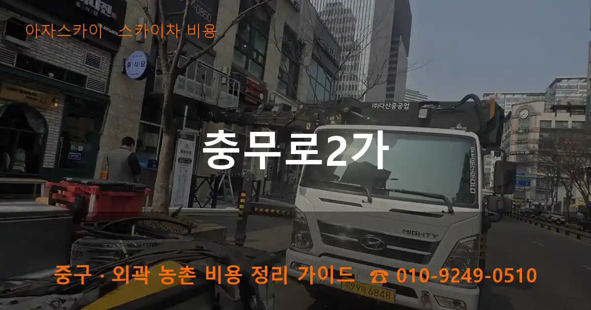 중구 충무로2가 스카이차 비용 작업