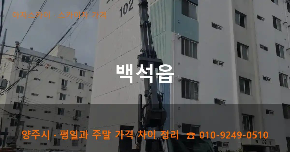 양주시 백석읍 스카이차 가격 작업