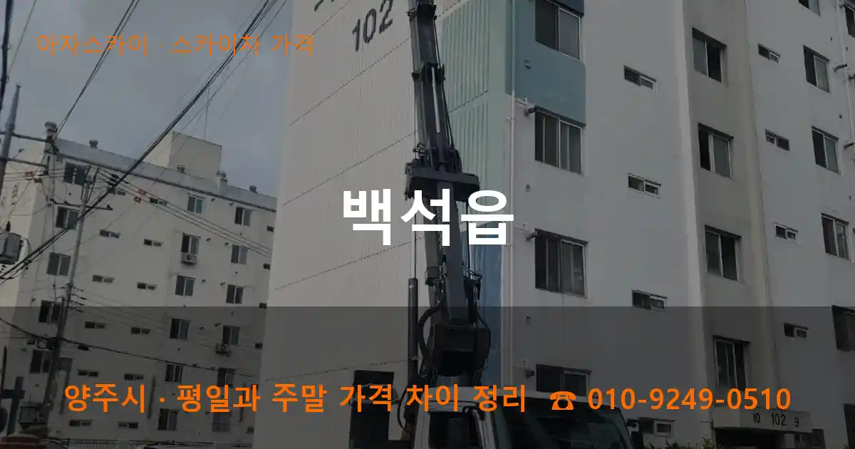 양주 백석읍 스카이차 가격 작업