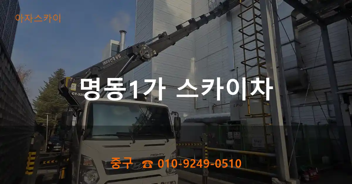 중구 명동1가 스카이차