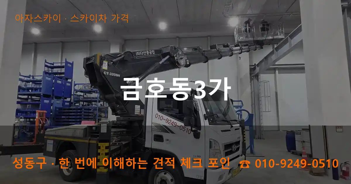 성동구 금호동3가 스카이차 가격 작업