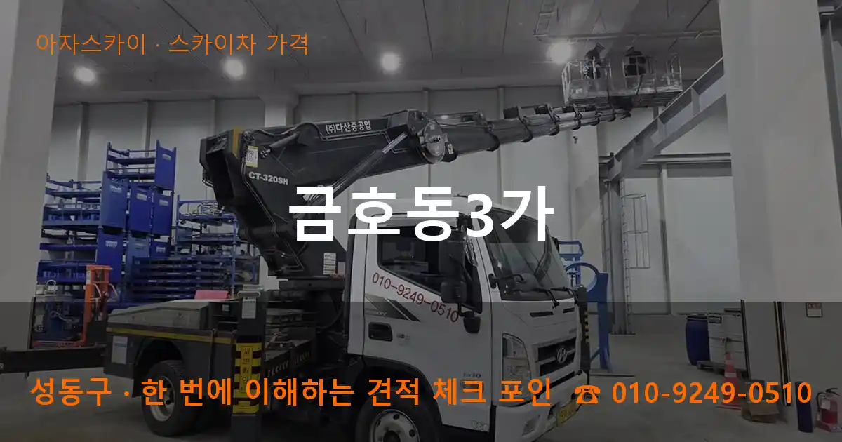 성동구 금호동3가 스카이차 가격 작업