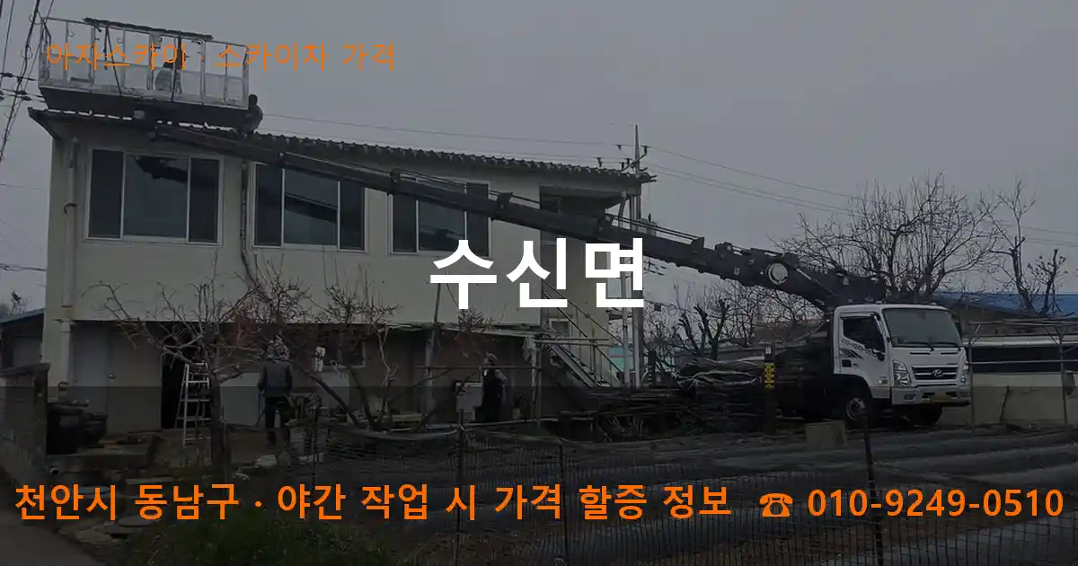 천안시 동남구 수신면 스카이차 가격 작업