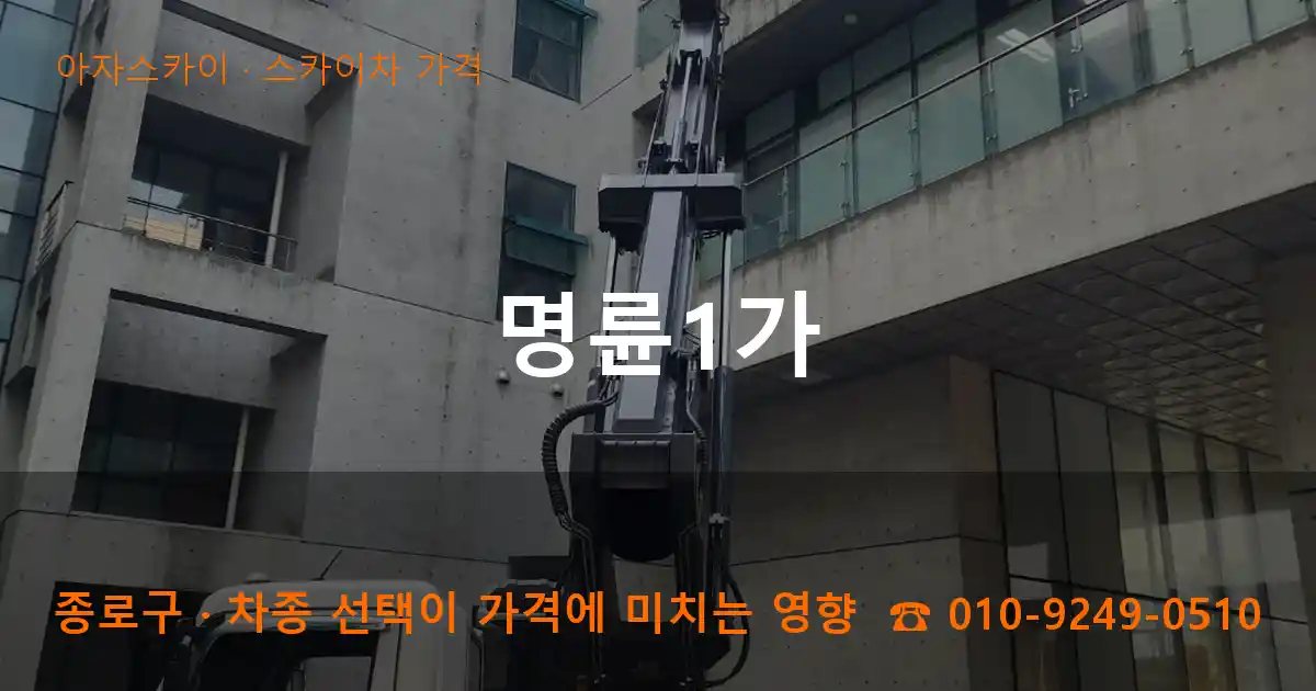 종로구 명륜1가 스카이차 가격 작업