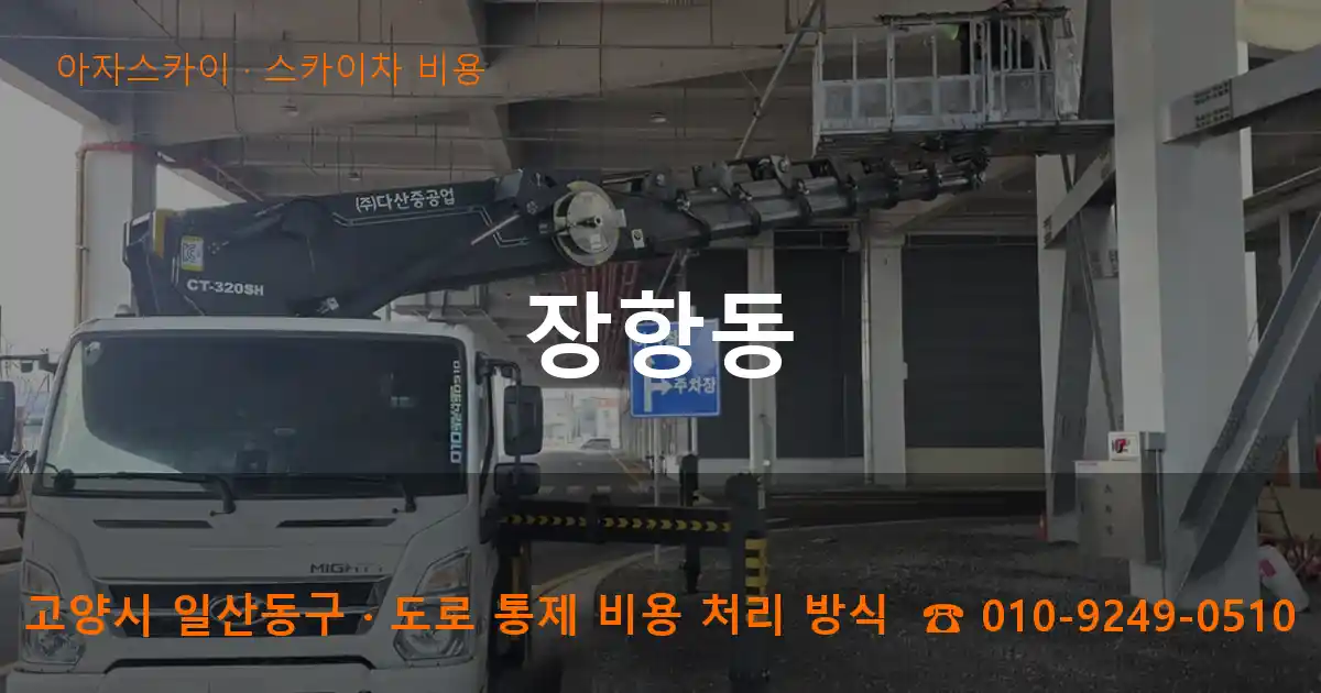 고양 일산동구 장항동 스카이차 비용 작업