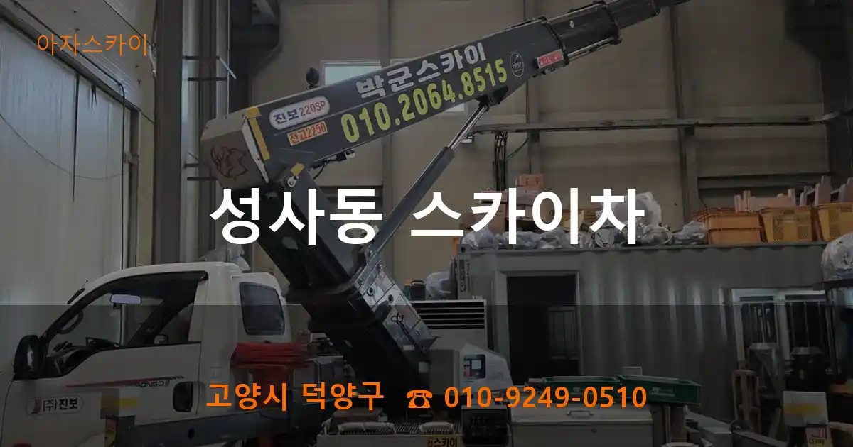 고양시 덕양구 성사동 스카이차