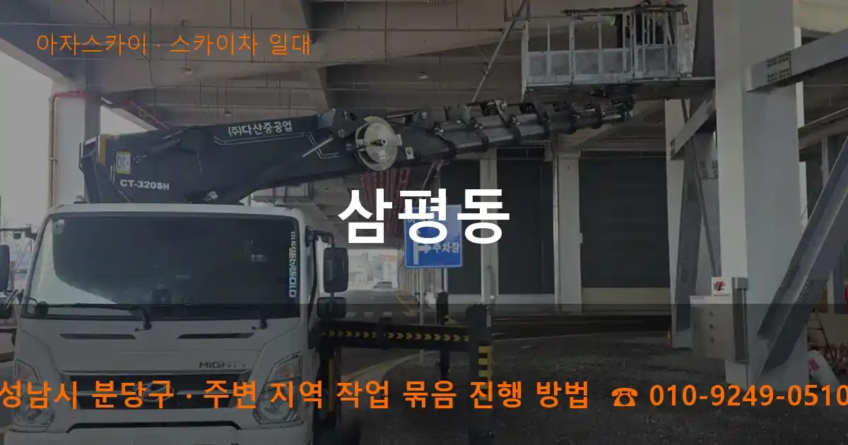성남시 분당구 삼평동 스카이차 출장 작업
