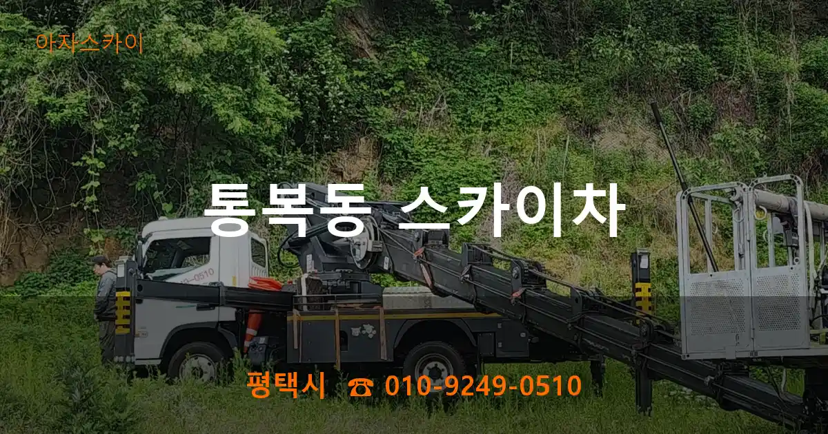 평택시 통복동 스카이차