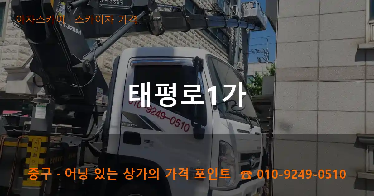 중구 태평로1가 스카이차 가격 작업