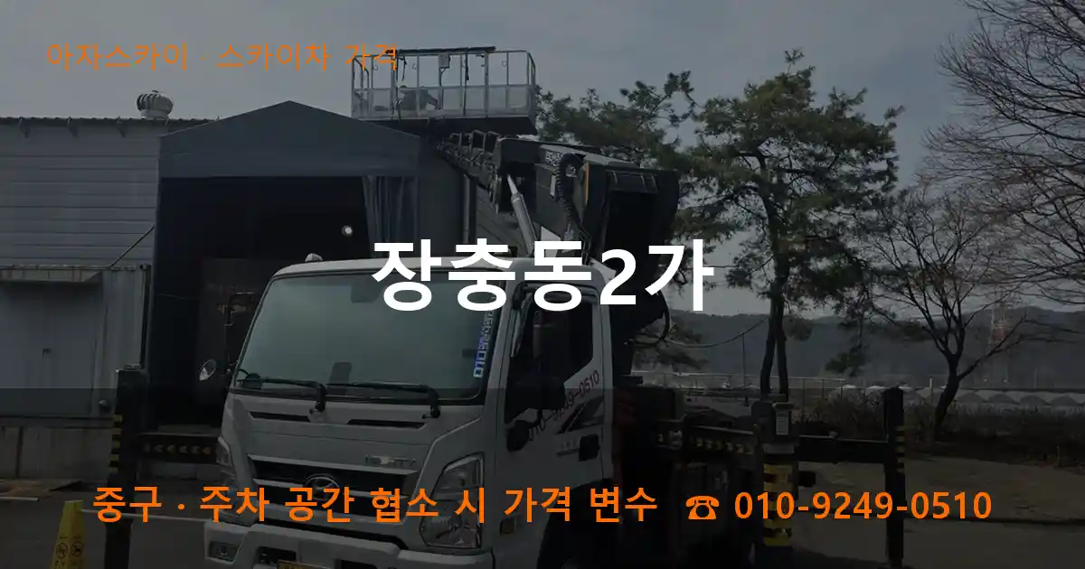 중구 장충동2가 스카이차 가격 작업