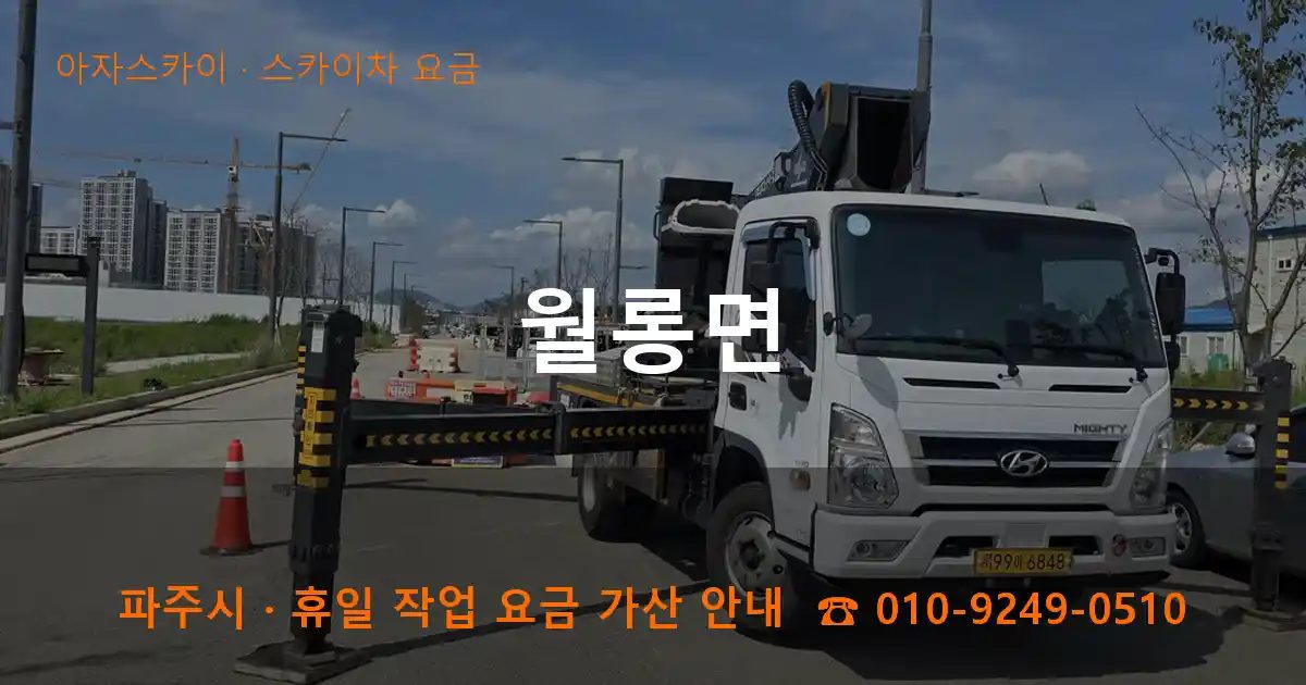 파주시 월롱면 스카이차 요금 작업