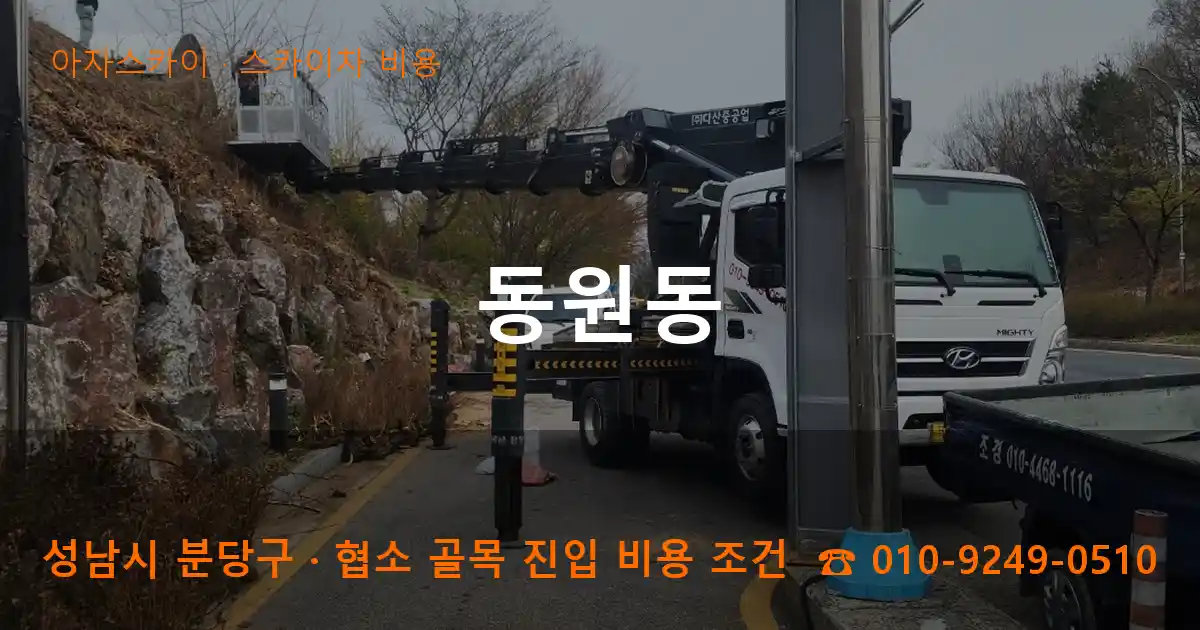 성남시 분당구 동원동 스카이차 비용 작업