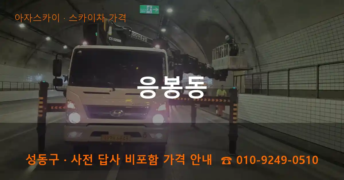 성동구 응봉동 스카이차 가격 작업