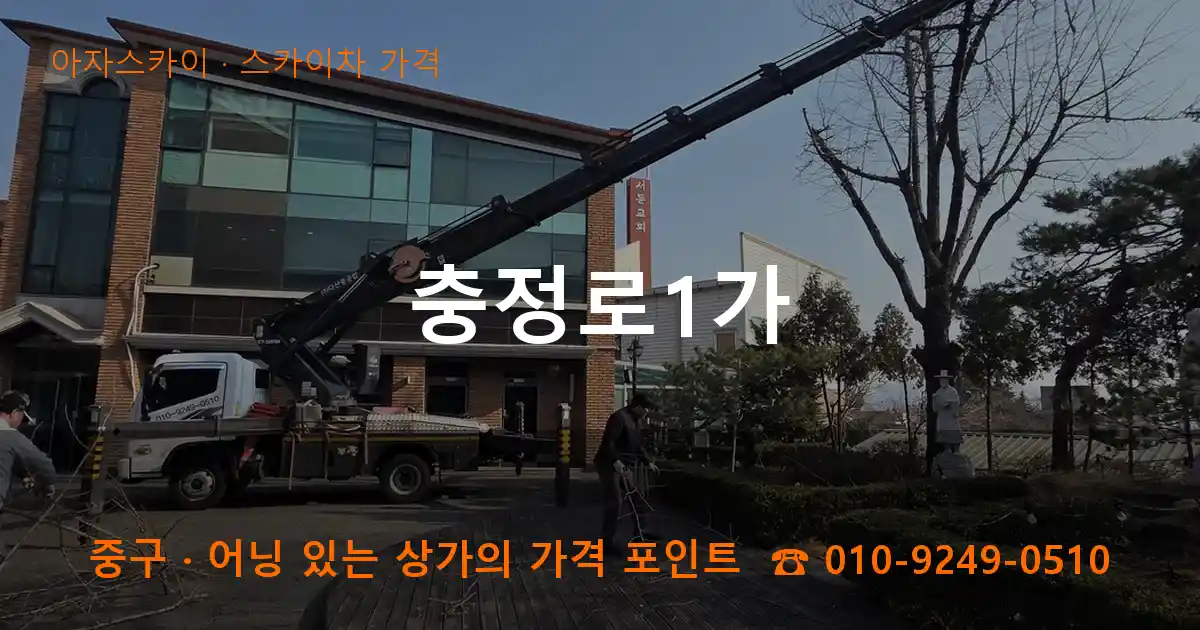 중구 충정로1가 스카이차 가격 작업