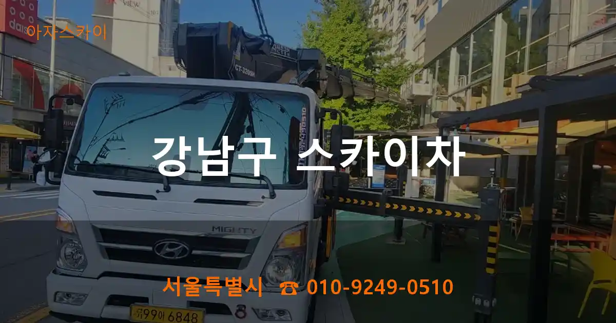 강남구 스카이차