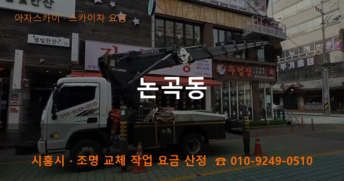 시흥시 논곡동 스카이차 요금 작업