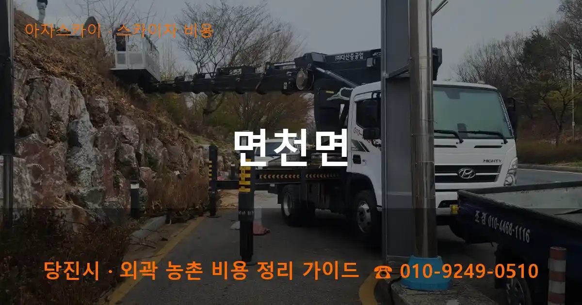 당진시 면천면 스카이차 비용 작업