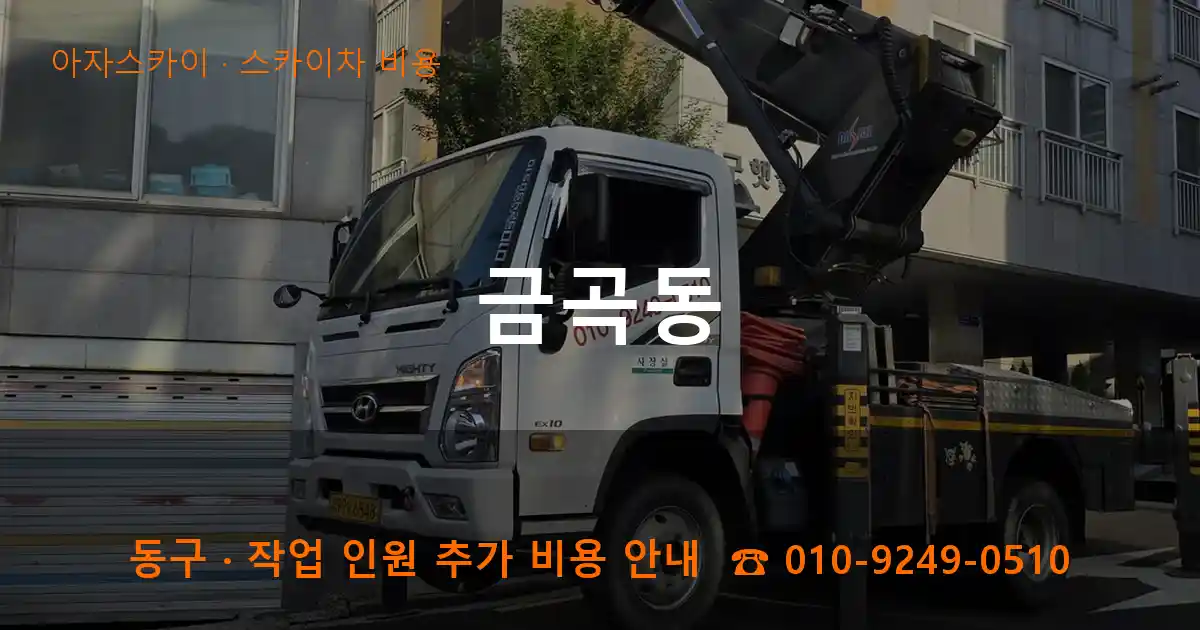 동구 금곡동 스카이차 비용 작업