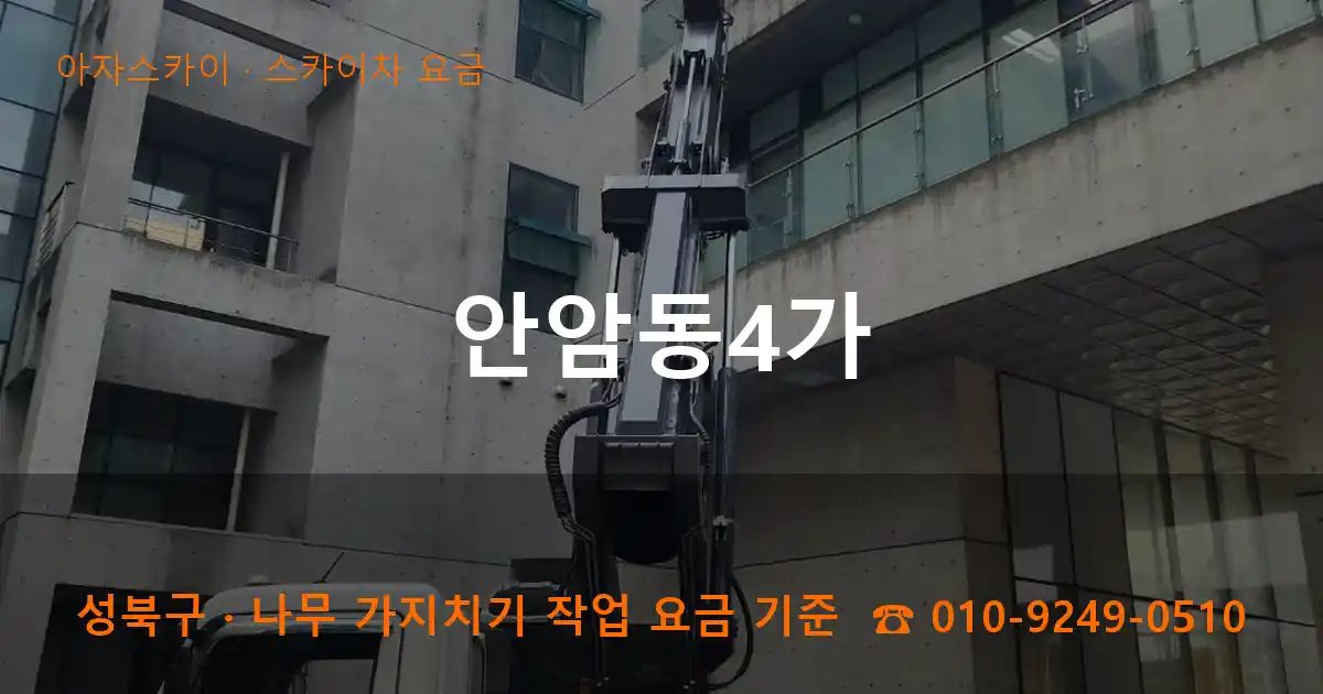 성북구 안암동4가 스카이차 요금 작업
