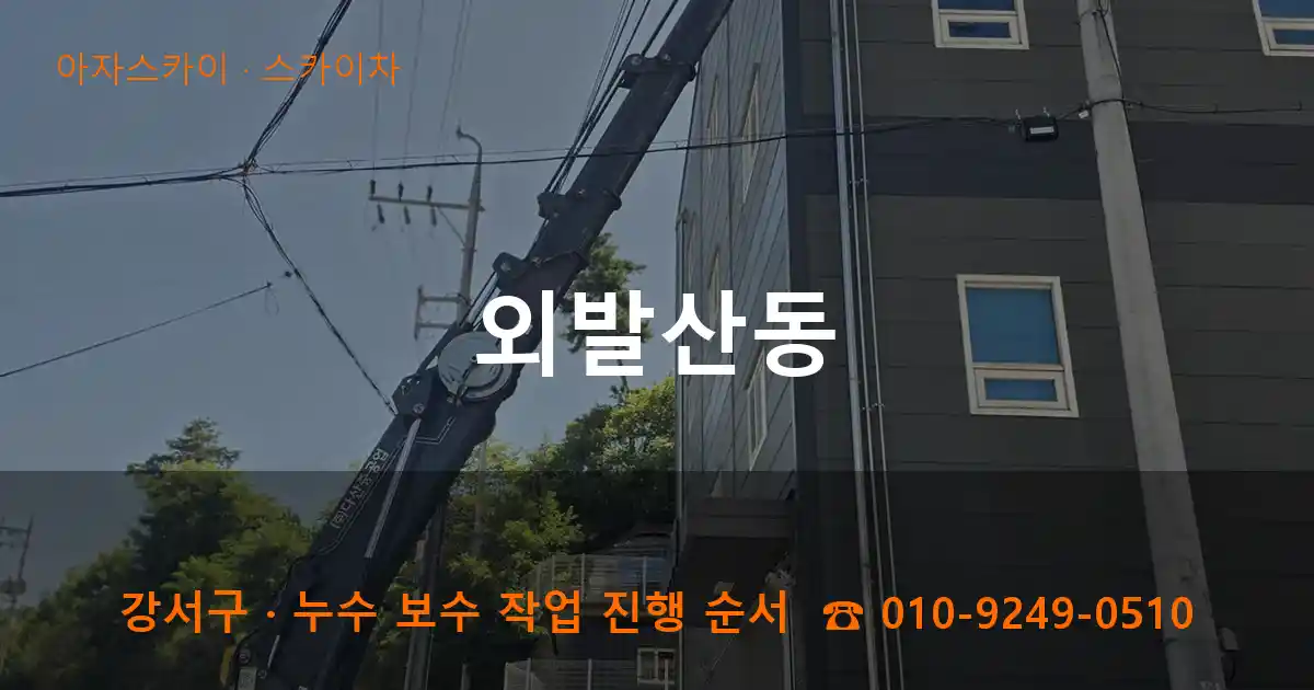 강서구 외발산동 스카이차 작업