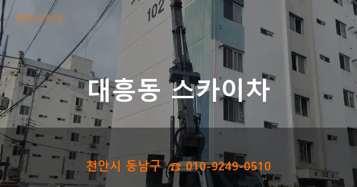 천안시 동남구 대흥동 스카이차