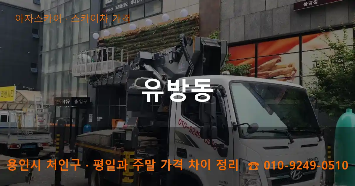 용인 처인구 유방동 스카이차 가격 작업