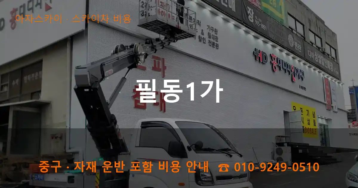중구 필동1가 스카이차 비용 작업