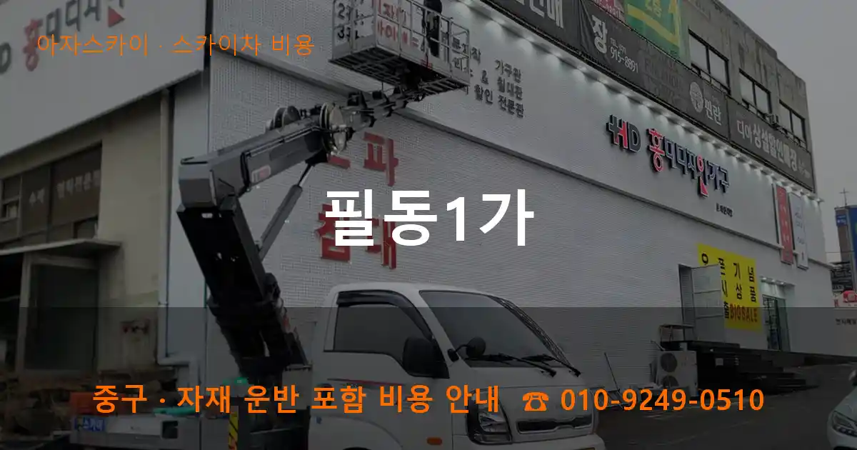 중구 필동1가 스카이차 비용 작업