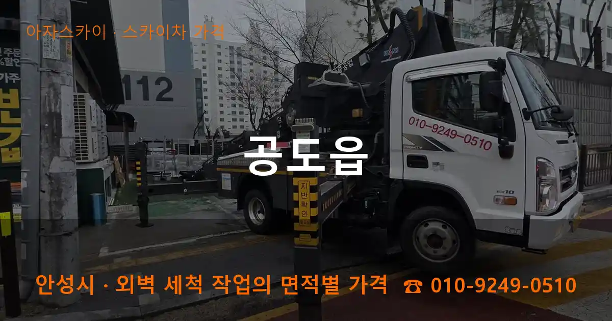 안성시 공도읍 스카이차 가격 작업
