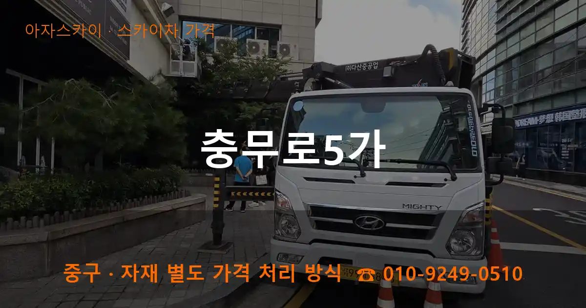 중구 충무로5가 스카이차 가격 작업