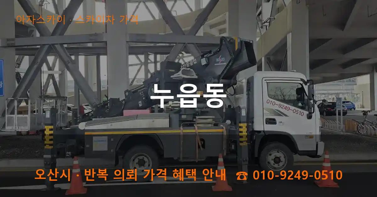 오산시 누읍동 스카이차 가격 작업