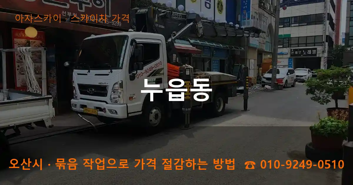 오산시 누읍동 스카이차 가격 작업
