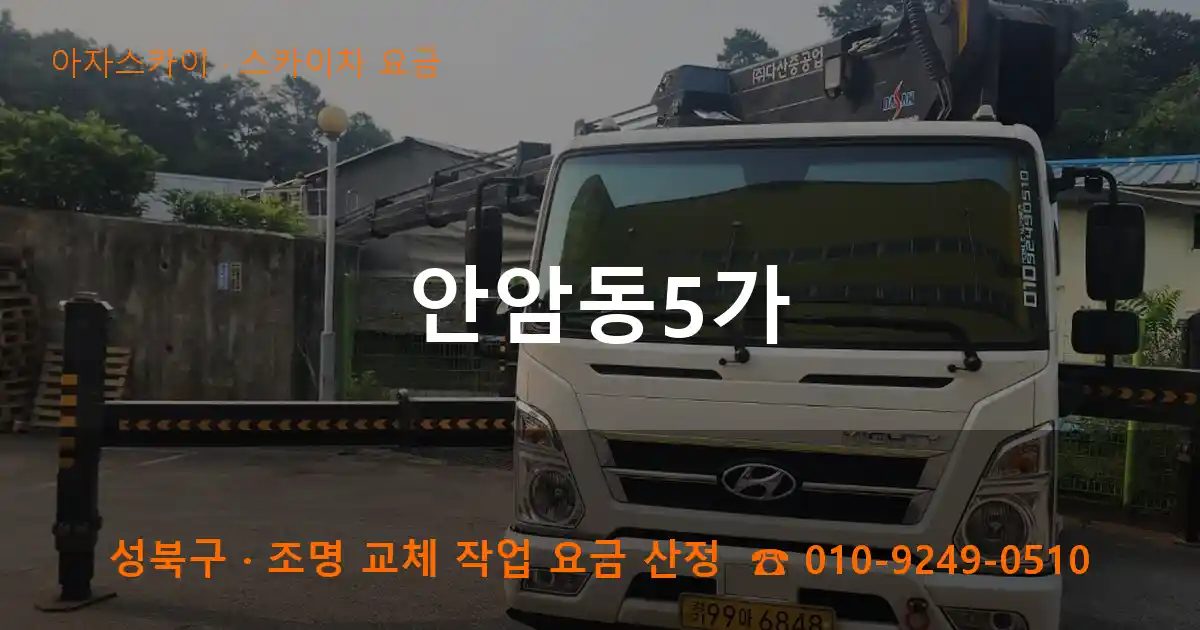 성북구 안암동5가 스카이차 요금 작업