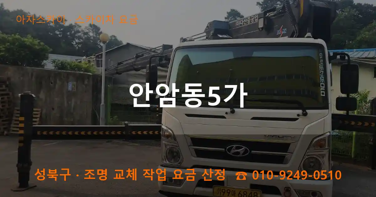 성북구 안암동5가 스카이차 요금 작업
