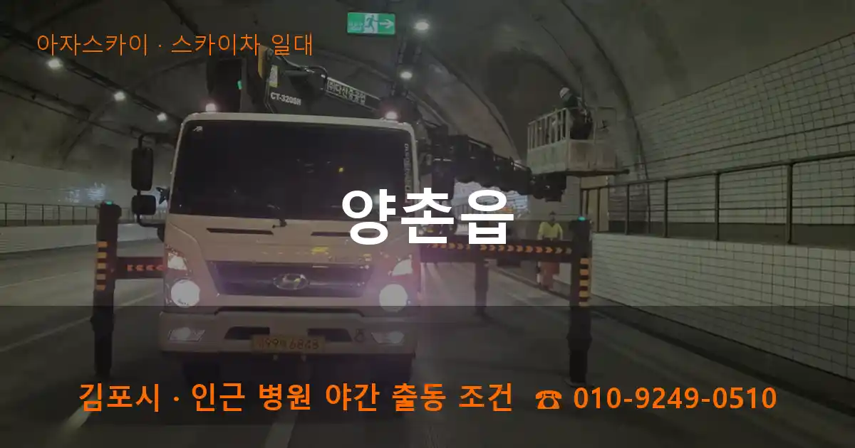 김포 양촌읍 스카이차 일대 작업
