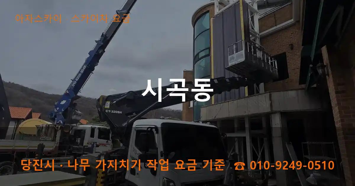 당진시 시곡동 스카이차 요금 작업