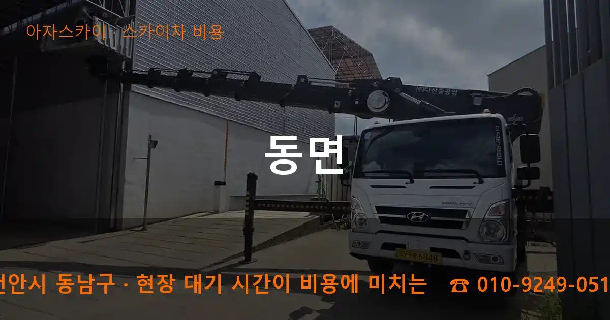 천안시 동남구 동면 스카이차 비용 작업