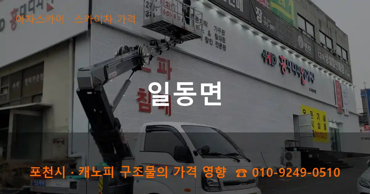 포천시 일동면 스카이차 가격 작업