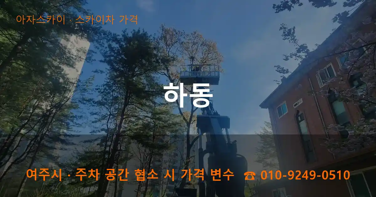 여주시 하동 스카이차 가격 작업