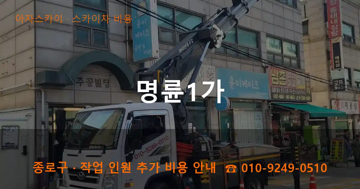 종로구 명륜1가 스카이차 비용 작업