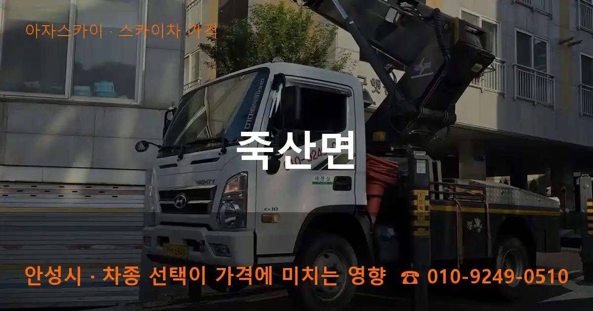안성시 죽산면 스카이차 가격 작업