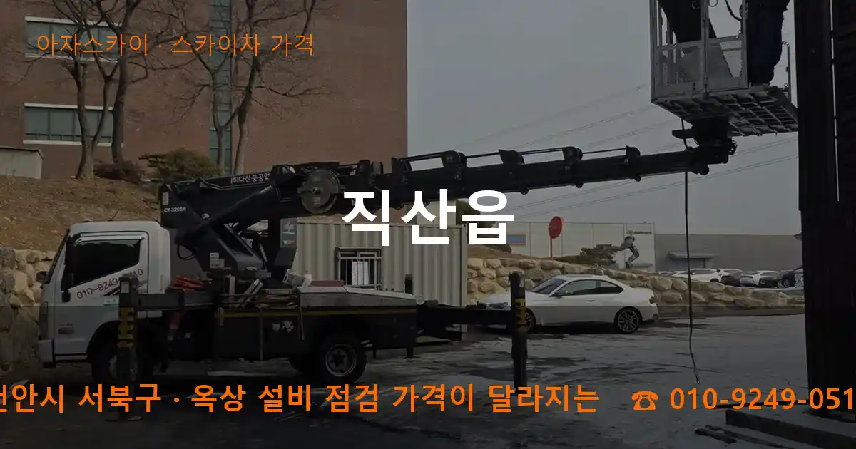 천안시 서북구 직산읍 스카이차 가격 작업