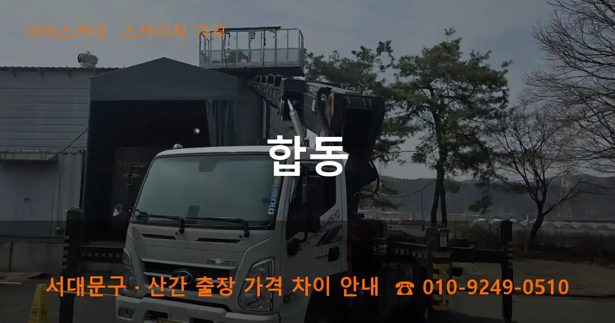 서대문구 합동 스카이차 가격 작업
