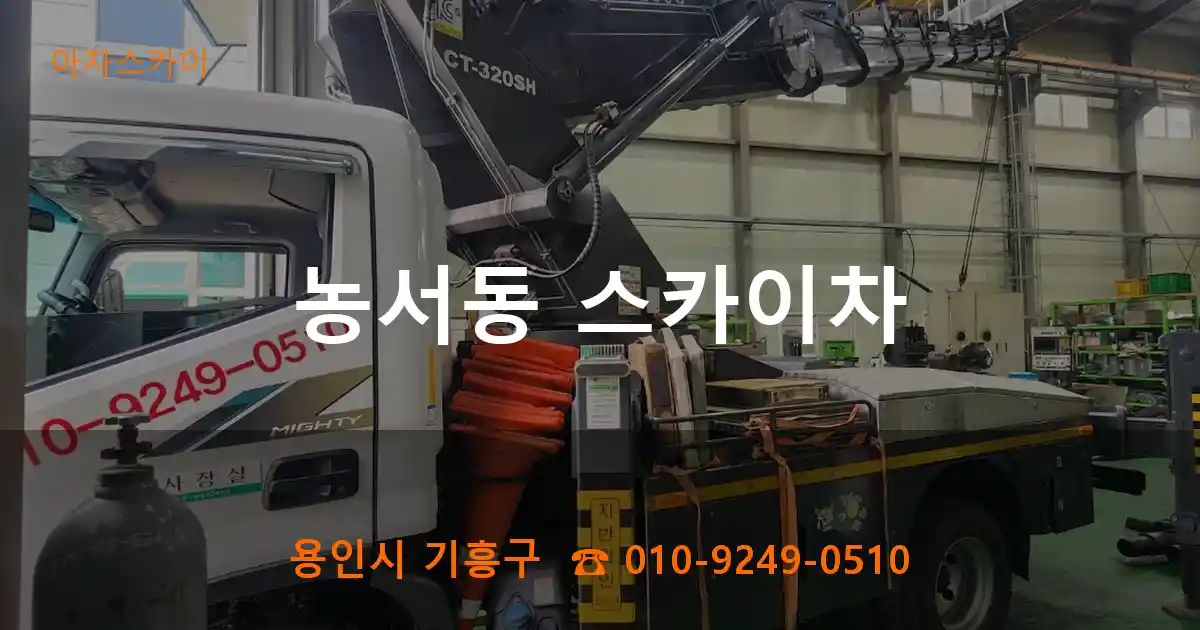 용인시 기흥구 농서동 스카이차