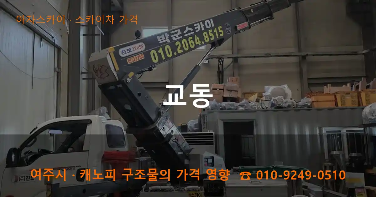 여주시 교동 스카이차 가격 작업