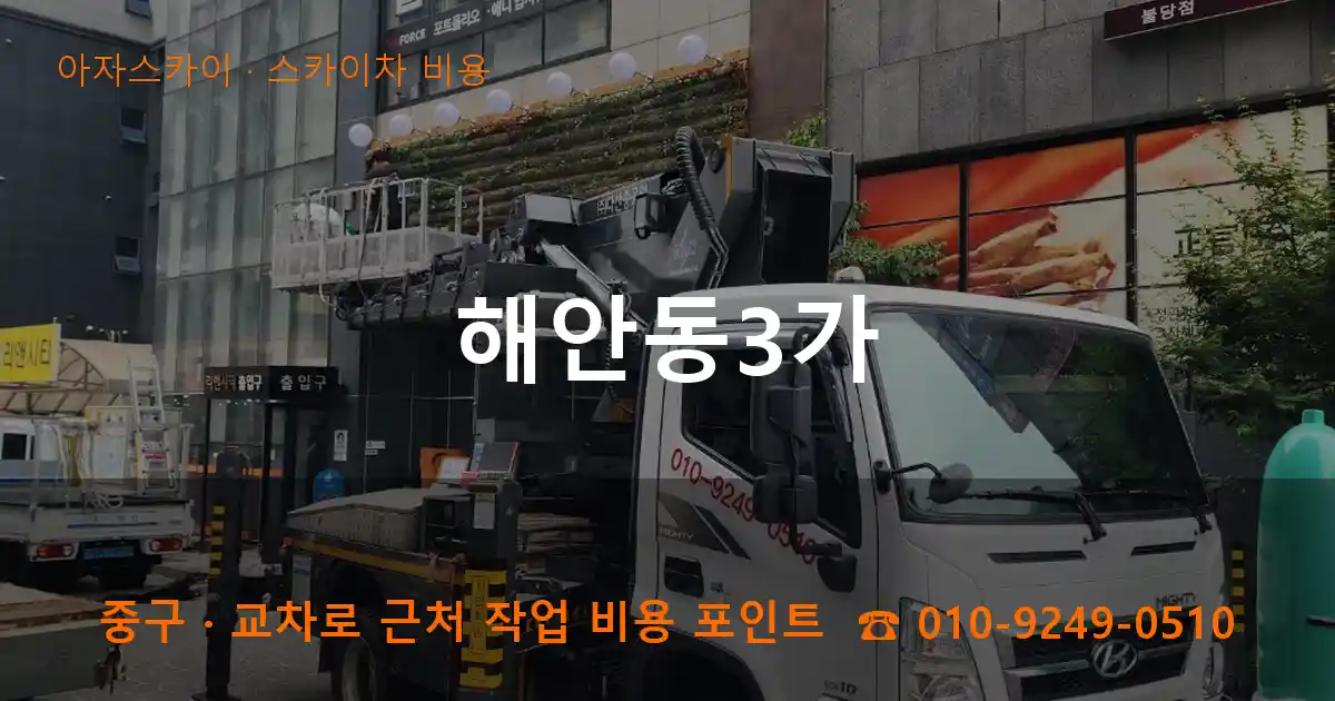 중구 해안동3가 스카이차 비용 작업