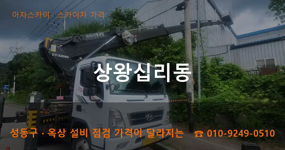 성동구 상왕십리동 스카이차 가격 작업