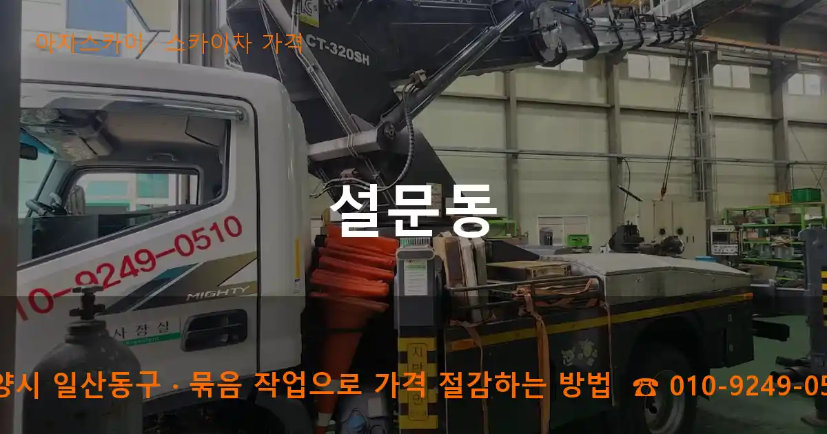 고양시 일산동구 설문동 스카이차 가격 작업