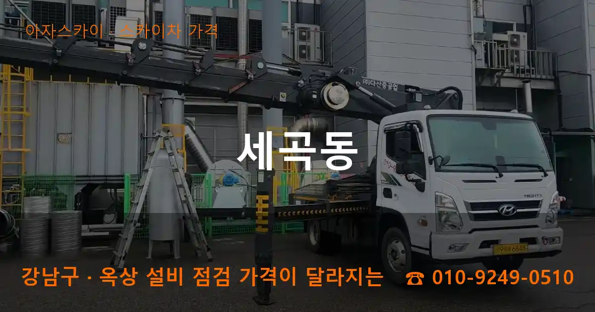 강남구 세곡동 스카이차 가격 작업