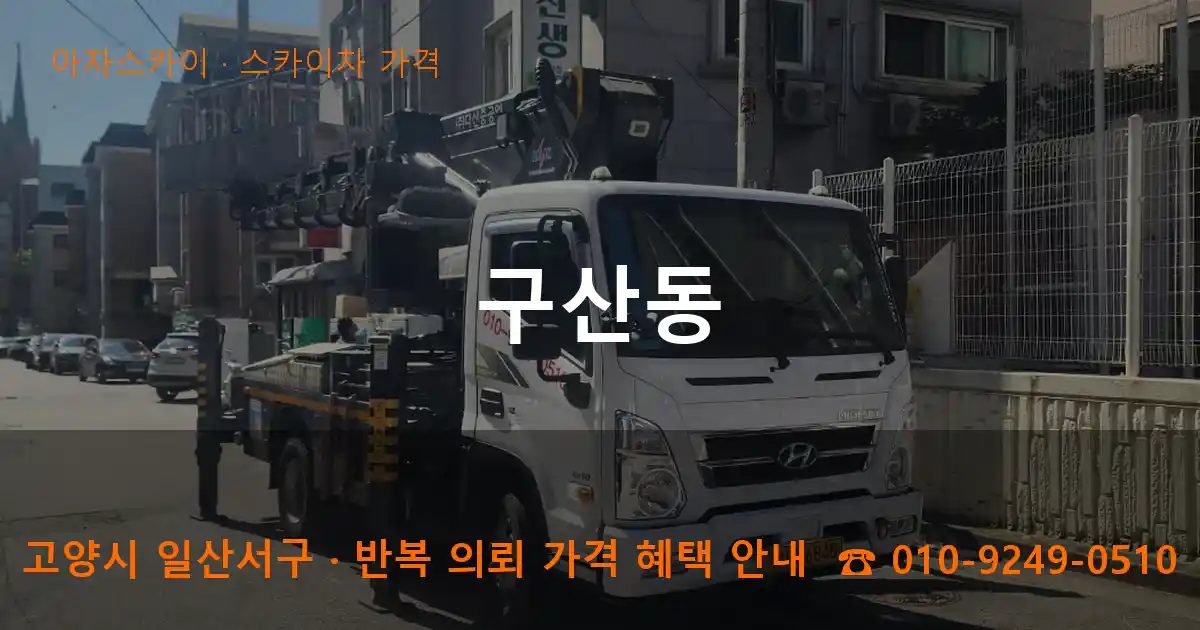 고양시 일산서구 구산동 스카이차 가격 작업